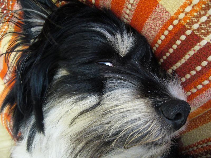 Foto: Smetty